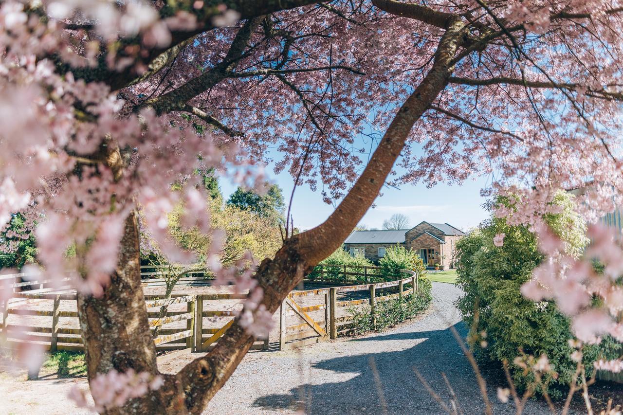 Lexington Park Cottages Cambridge Dış mekan fotoğraf