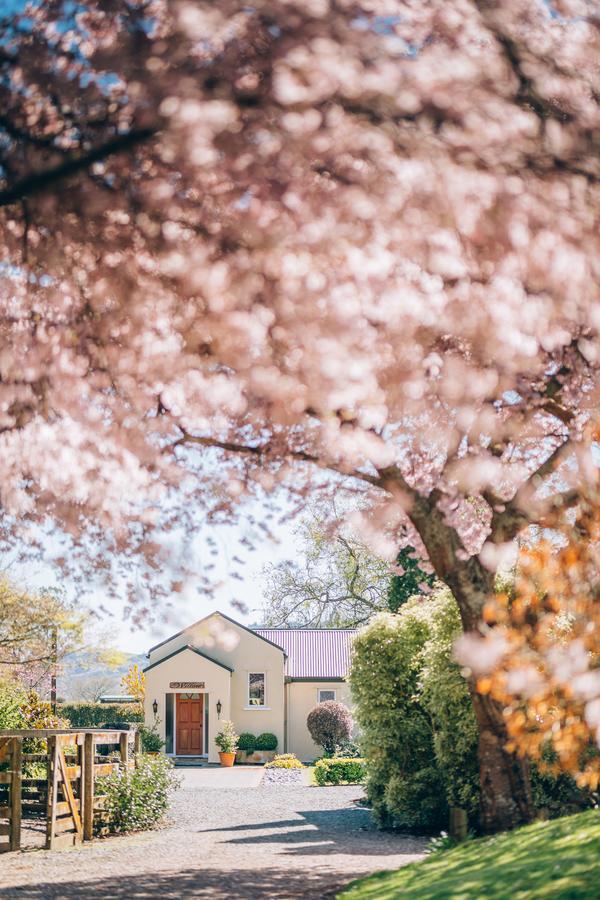 Lexington Park Cottages Cambridge Dış mekan fotoğraf